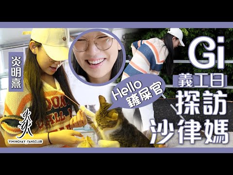 【義工特輯】炎明熹Gigi探訪沙律媽｜做貓貓的一日僕人｜被貓狗治癒的一天｜最後仲挑戰清理 _ _ !??