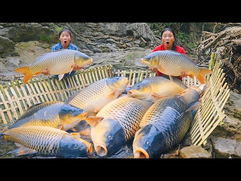 Hunting Giant Stream Fish, Smoked Fish Meat Making Process, Farm Life | SURVIVAL ALONE