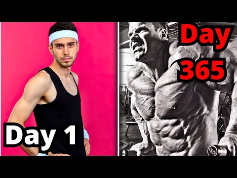 Your Body in the Gym: Month by Month (First 12 Months)