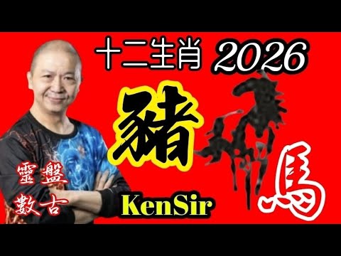 🐷㊙️🦄💖【馬年十二生肖】｜2026年｜生肖豬｜運程｜#電話號碼昇運 #八字 #十二生肖 #運程 #乙亥 #丁亥 #己亥 #辛亥 #癸亥