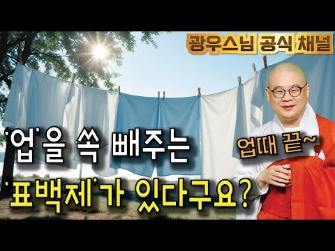 빨래의 때처럼 업을 쏙 빼주는 게 뭘까요? 궁금하시죠? | 광우스님 소나무시즌3148회