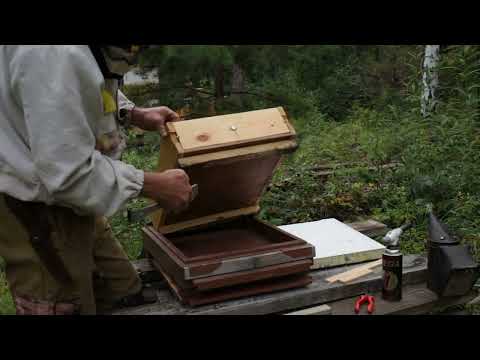 Deep Bottom (Questions and Answers)