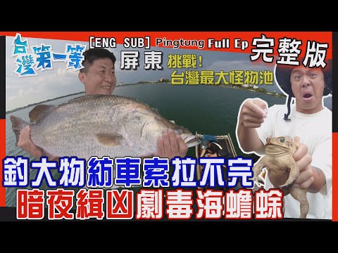 [全新] Pingtung【挑戰台灣最大怪物池  延繩釣大物"紡車索"拉不完 / 暗夜緝凶  難"蟾"巨霸  合力移"蜍" / 借屍還魂"詛咒標本"!?】│2022.09.18│《台灣第一等》完整版