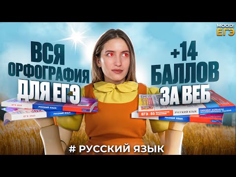 ВСЯ ОРФОГРАФИЯ ДЛЯ ЕГЭ / 9-15 ЗАДАНИЯ ЕГЭ ПО РУССКОМУ / ТОТАЛЬНЫЙ РАЗБОР
