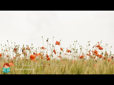 [無廣告版] 令人放鬆的琴聲和大自然音樂 ☕ 壓力釋放～FOREST NATURE SOUNDS & PIANO FOR CONCENTRATION