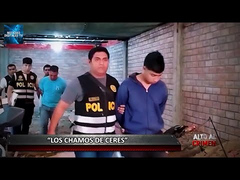 Criminal gang LOS CHAMOS DE CERES, made up of Venezuelans, is busted