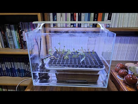 수족관을 이용하여 산소삽목기 자작하기(42,000원)