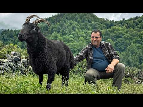 Tandır Ekmeğiyle Sulu ve Lezzetli Kuzu Kebabı Tarifi