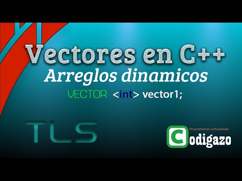 Que son vectores en C++ (con ejemplos)