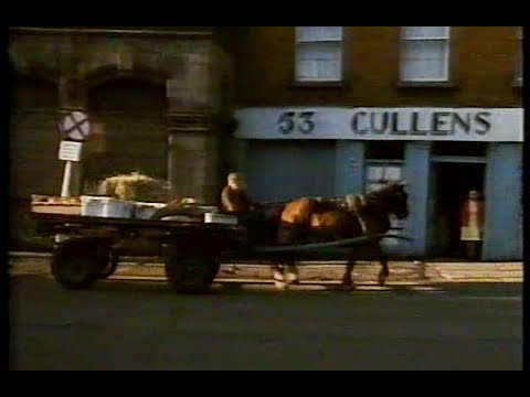 Hands: Dublin's Workhorses