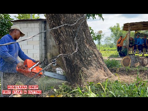 Almost Burnt... Cut down 4 trees all day‼️