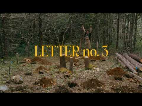 Breaking ground on my forest camp - letter no. 3