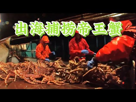 出海捕捞帝王蟹 #海鲜 #野生海鲜 #捕捞 #捕魚 #帝王蟹