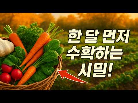 남들보다 한 달 먼저 수확하는 비결! 가을에 꼭 심어야 할 8가지 작물! 🌿