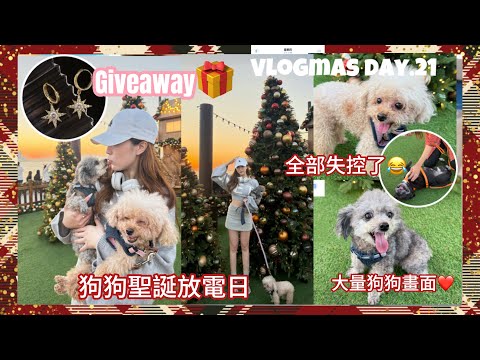 Giveaway🎁￼聖誕狗狗放電一日遊🐶￼主人們超崩潰😂內含大量狗狗畫面🥰￼西九文化區有超美裝飾🎄￼飾物店主送禮✨放狗好地方￼狗狗餐廳😋（中字）｜S.TONGLI