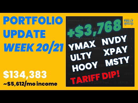 Portfolio Update Weeks 20–21 | Dividends, Performance & My Strategy During Tariff Dip