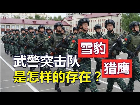 武警猎鹰、雪豹突击队，是怎样的存在？