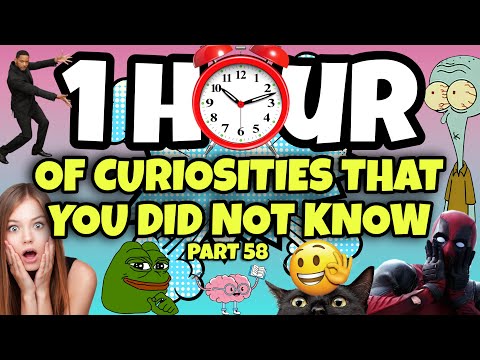 1 HOUR OF CURIOSITIES AND THINGS YOU DIDN'T KNOW 🧠⏰ #58