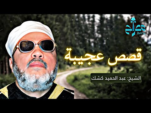 أجمل ٣ قصص ستسمعها من الشيخ كشك !