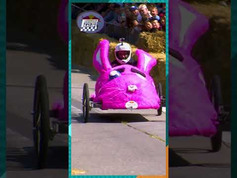 Fluffy, Fast, and Outta Control 😳🐰 #redbullsoapboxrace