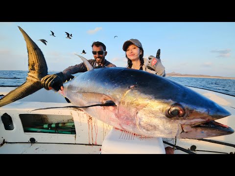 挑战150斤巨型金枪鱼，极限6人轮番拉线，切生鱼片鲜味生猛！| 趕海 | 金枪鱼 | 钓鱼 | 阿曼 | 海鮮 | 美食 |