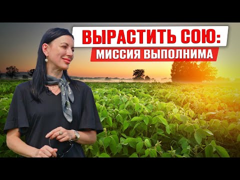 Полная система защиты сои | Зачем нужны листовые подкормки | Растениеводство