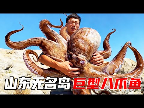 山东青岛无名岛(11~20):天气炎热差点中暑,平头哥抓到巨型八爪鱼,烧烤之后体会到满嘴爆浆的感觉【户外平头哥】