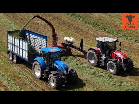 HOW did my TRAILED HARVESTER handle our HEAVY FIRST CUT?!  |  Silage 2024