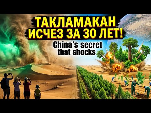 Как Китай превратил пустыню в зеленые леса?