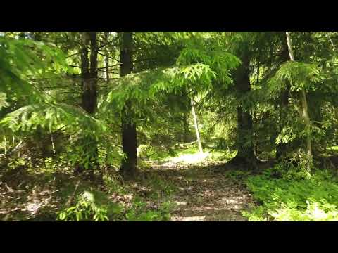 Do you try to understand the pull request you review?