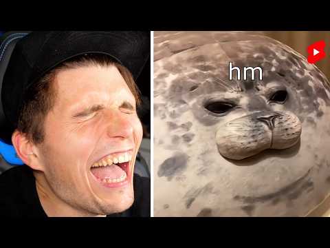 Paluten guckt Shorts 9.0