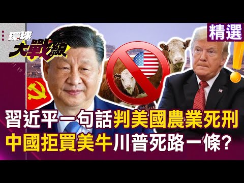 【精選】習近平徹底掌握「美國大豆市場」川普死路一條？！ 中國下一波拒買美牛「改吃澳洲牛肉」美國迎來農業末日？！｜#環球大戰線 ‪@Global-vision-talk