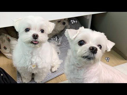 [ENG] Introducing Jaerong's Mother and Sister