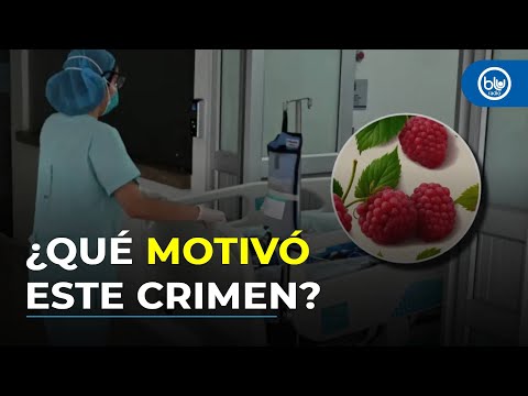 ¿Quién es la mujer que habría enviado las frambuesas con talio que mataron a dos niñas en Bogotá?
