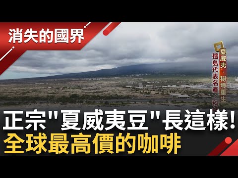 夏威夷咖啡豆有分等級?! 被太平洋環抱的夏威夷擁有迷人氣候 位在高海拔地區 造就優質的咖啡種植環境 適合果仁生長 香醇口感像櫻桃 ｜李文儀主持｜【消失的國界PART2】20240603｜三立新聞台