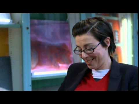 David Sedaris' BBC Fringe interview