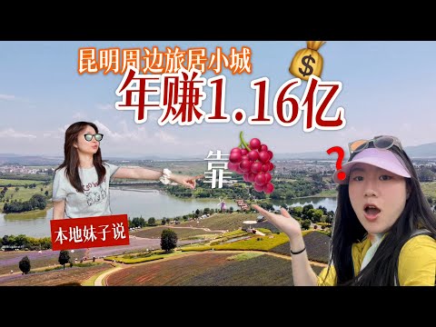 年赚116000000元！中国云南昆明周边连旅居小城都这么藏龙卧虎吗？