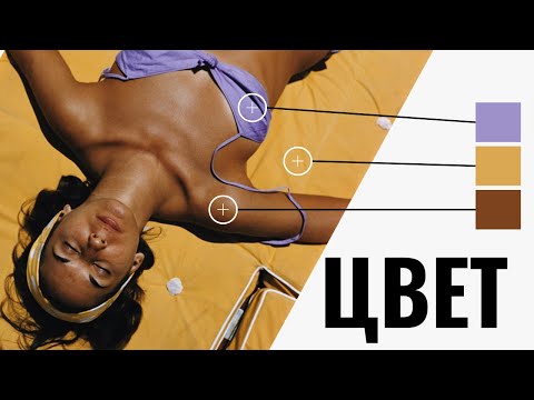 Главный секрет крутых фотографий | полное руководство по ТЕОРИИ ЦВЕТА за 15 минут