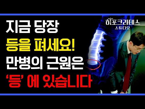 척추 한 번 피면 면역력이 올라간다?🏋️♀️ 등 건강을 지키는 운동법과 면역과의 관계성은 무엇일까? [건강 읽어드립니다] | 서재걸의학박사