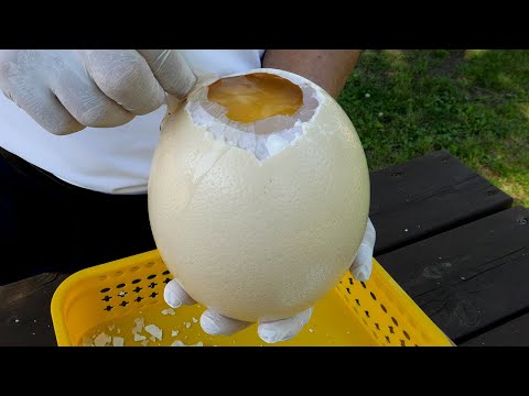 Fried Ostrich Egg - Korean street food