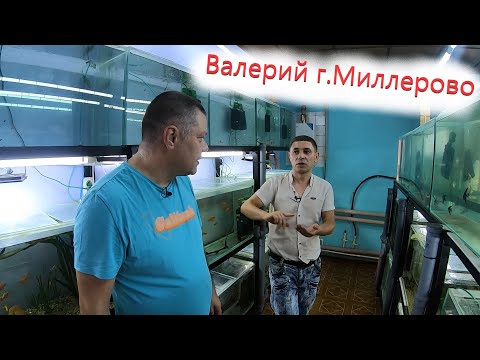 Развести - пол дела, а ты сумей продать.