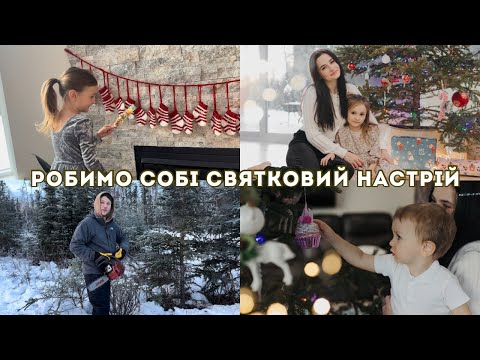 йдемо в ліс за ялинкою, прикрашаємо дім та показую покупки | святкове життя на Алясці