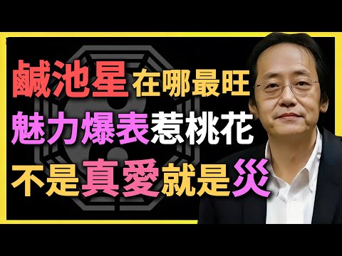 鹹池星在哪最旺？魅力爆表惹桃花，不是真愛就是災，小心爛桃花！#鹹池星 #紫微鬥數 #倪海廈 #桃花運 #爛桃花 #命理分析 #夫妻宮 #感情運勢 #婚姻運勢 #桃花星 #貪狼星 #2025運勢