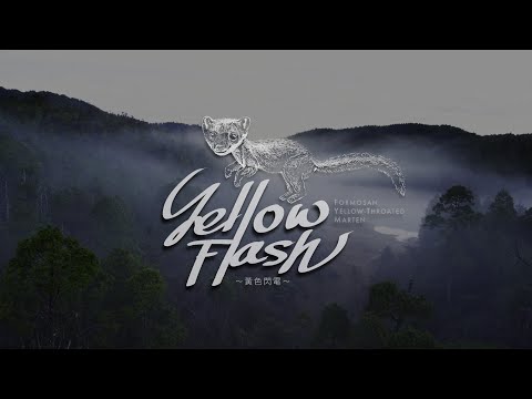 《地球的孤兒：台灣的精靈II》黃色閃電 4K HDR