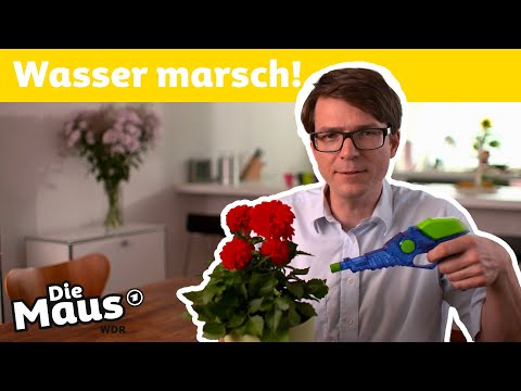 Wie funktioniert eine Wasserpistole? | DieMaus | WDR