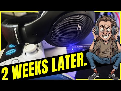 Sennheiser HD 550 Gaming: 2 Weeks Later - Still Worth It?