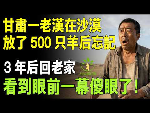 甘肅男子在沙漠放養500只羊,遭全村人嘲笑抑鬱住院,3年後出院,回家看到一幕愣住!