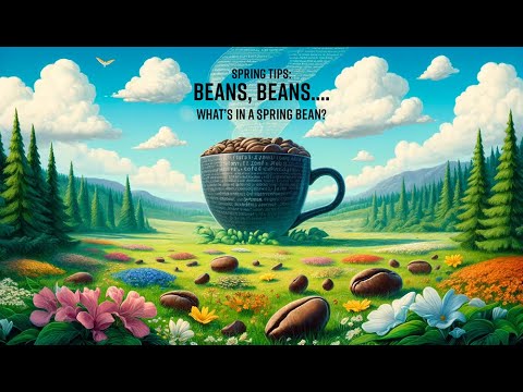 Spring Tips: Beans, Beans: What's in a Spring bean?