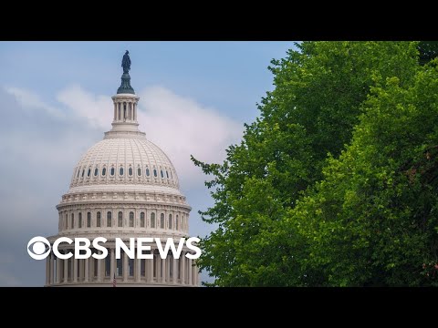 Senate committee holds hearing on harm of AI chatbots | full video