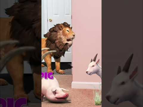 Hide and Seek Adventure with Animal Friends! #ZZKidTV #googoocolors #googoofriends #shortvideo